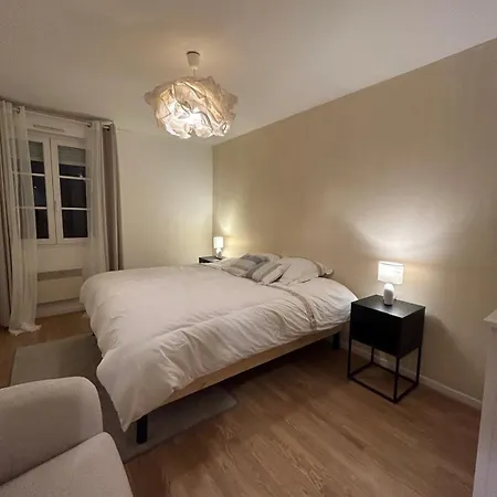 Downtown High Standing Duplex - 