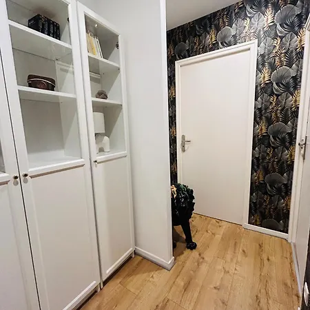 Downtown High Standing Duplex - 